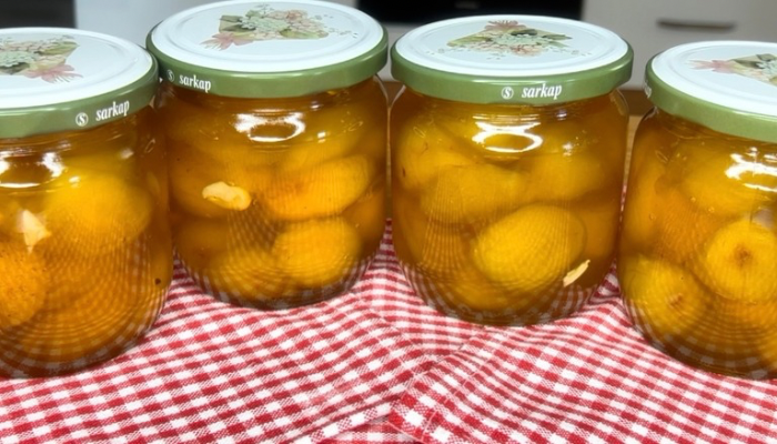 Adım 8